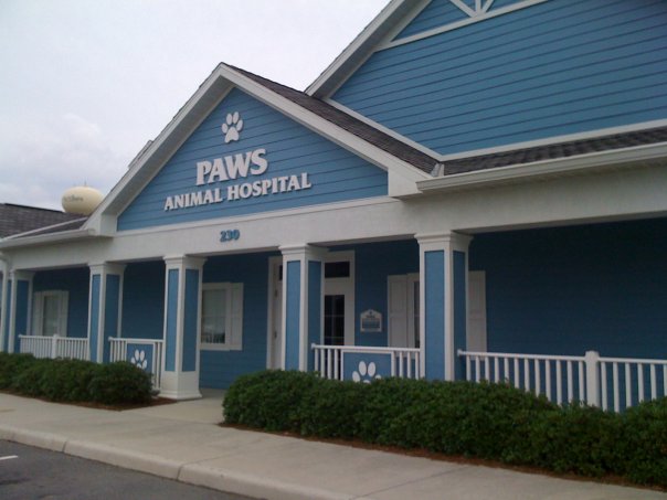 Outside of the Paws Animal Hospital building