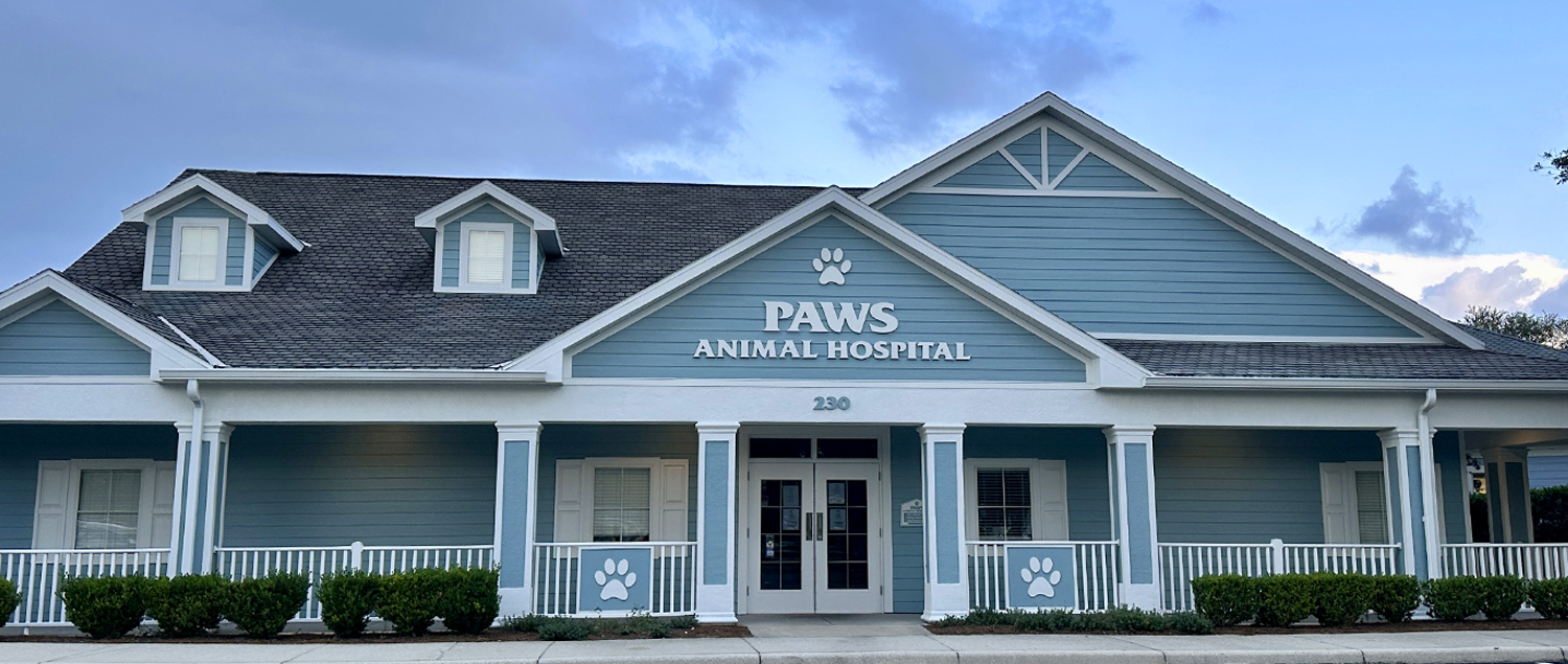 The Paws Animal Hospital Building