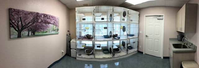 12 Cat Kennels / Isolation Room