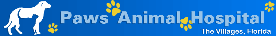 Paws Animal Hospital Logo